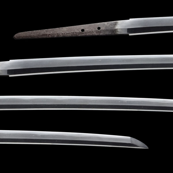 Antique Japanese Sword Katana signed by Tadayuki<br>NBTHK <span style="color: #ff0000;">Hozon </span>Certificate - Image 2