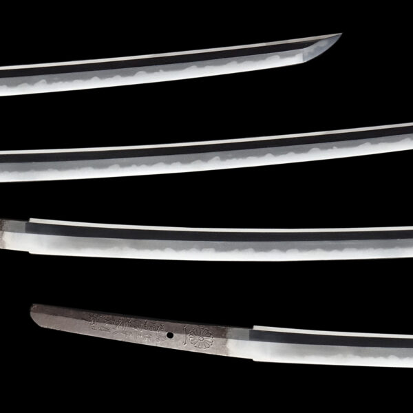 Antique Japanese Sword Katana Signed by Yokoyama Sukenaga <br>NBTHK<span style="color: #ff0000;"><strong> Tokubetsu Hozon</strong> </span>for the blade& <span style="color: #ff0000;">Hozon</span> for the Koshirae - Image 3