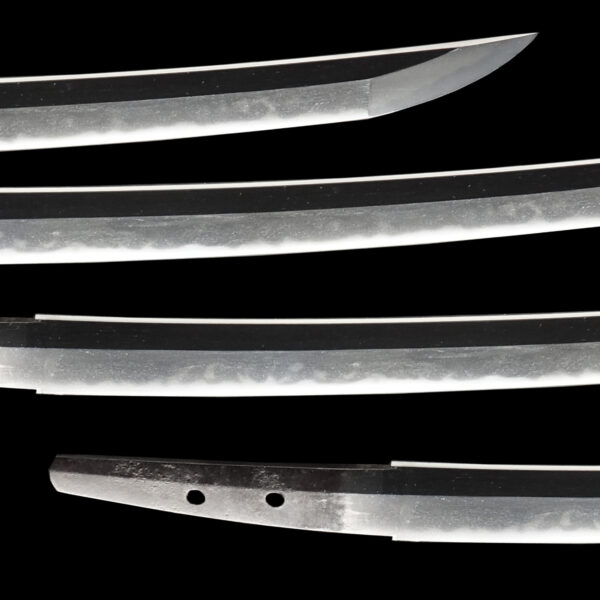 Antique Japanese Sword Wakizashi Signed by First-gen Masatoshi <br>NBTHK <span style="color: #ff0000;"><strong>Tokubetsu Hozon</strong> </span>Certificate - Image 3