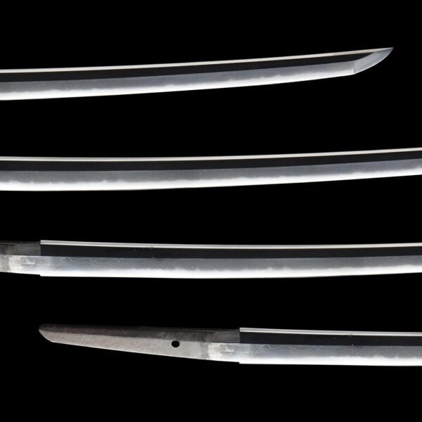 Antique Japanese Sword Wakizashi Signed by first-gen Tadatsuna<br> NBTHK <span style="color: #ff0000;"><strong> Tokubetsu Hozon</strong> </span>Certificate - Image 3