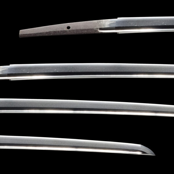 Antique Japanese Sword Katana Attributed to Kongo Hyoue<br> NBTHK<span style="color: #ff0000;"><strong> Tokubetsu Hozon</strong> </span>Certificate - Image 2