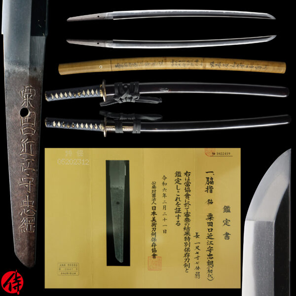 Antique Japanese Sword Wakizashi Signed by first-gen Tadatsuna<br> NBTHK <span style="color: #ff0000;"><strong> Tokubetsu Hozon</strong> </span>Certificate