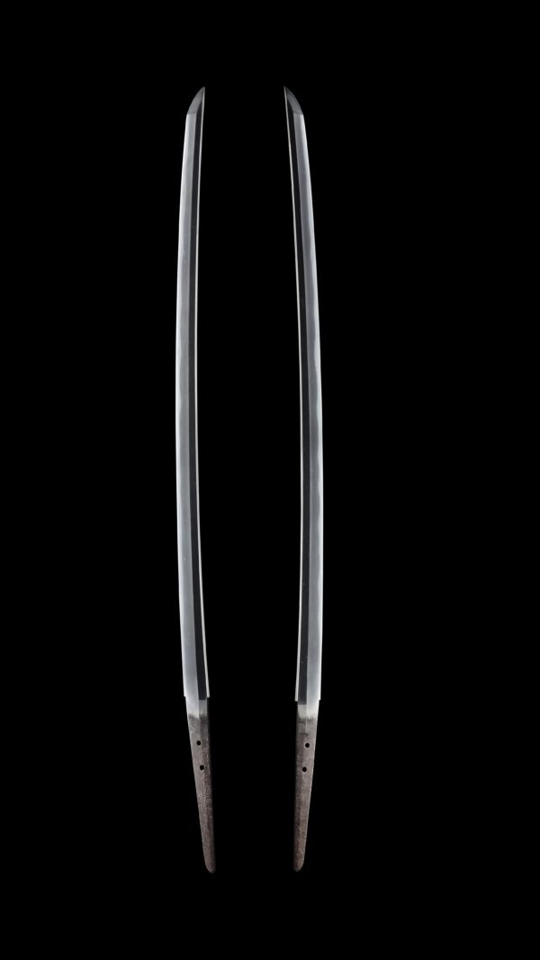 Antique Japanese Sword Katana signed by Tadayuki<br>NBTHK <span style="color: #ff0000;">Hozon </span>Certificate - Image 7