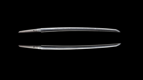 Antique Japanese Sword Wakizashi Signed by first-gen Tadatsuna<br> NBTHK <span style="color: #ff0000;"><strong> Tokubetsu Hozon</strong> </span>Certificate - Image 12