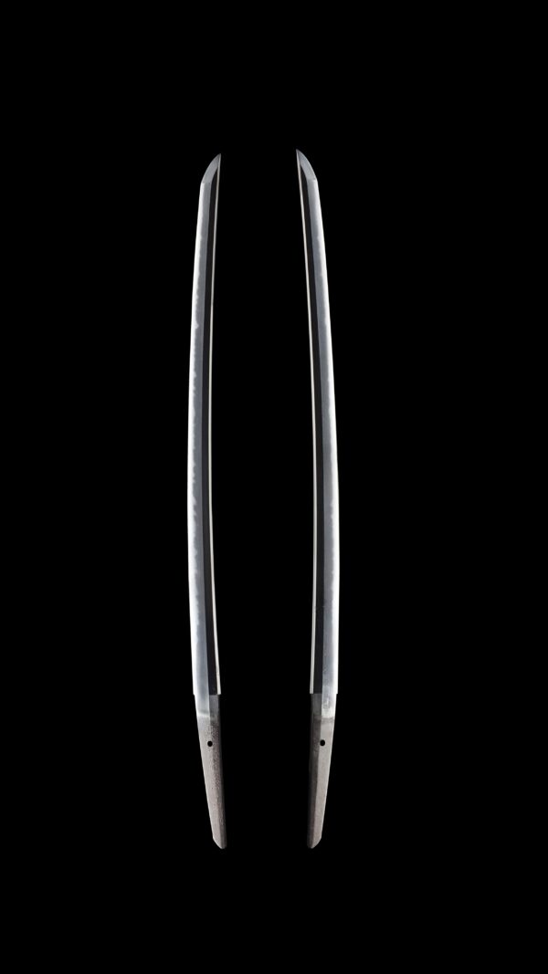 Antique Japanese Sword Wakizashi Signed by first-gen Tadatsuna<br> NBTHK <span style="color: #ff0000;"><strong> Tokubetsu Hozon</strong> </span>Certificate - Image 7