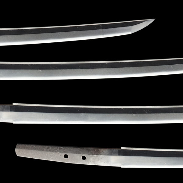 Antique Japanese Sword Wakizashi Signed by Mutsu no Kami Tadayoshi <br>NBTHK <span style="color: #ff0000;"><strong>Tokubetsu Hozon</strong> </span>Certificate - Image 3