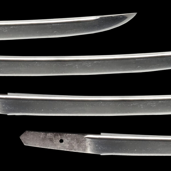 Antique Japanese Sword Wakizashi Signed by Minamoto Nobumori<br>NBTHK <span style="color: #ff0000;">Hozon </span>Certificate - Image 3
