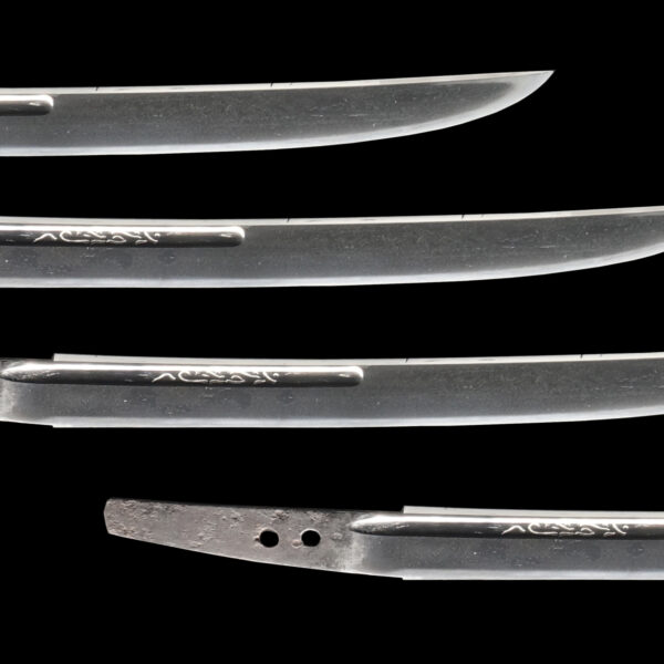 Antique Japanese Sword Tanto Attributed to Tsukushi Nobukuni<br>NBTHK <span style="color: #ff0000;">Hozon </span>Certificate - Image 3