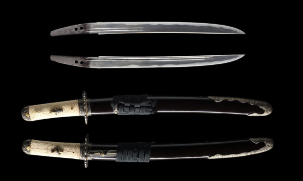 Antique Japanese Sword Tanto Attributed to Den Takagi Sadamune<br>NBTHK <span style="color: #ff0000;"><strong> Tokubetsu Hozon</strong> </span>Certificate - Image 13