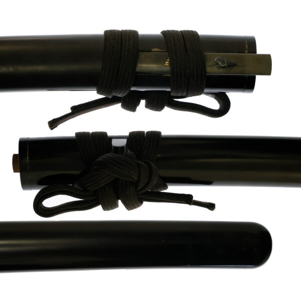 Antique Japanese Sword Wakizashi Signed by Nagasone Okimasa<br> NBTHK Koshu Tokubetsu Kicho Certificate - Image 24