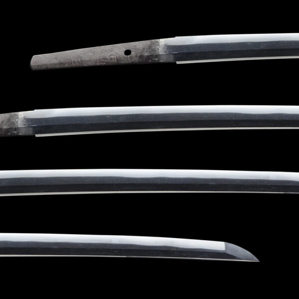 Antique Japanese Sword Wakizashi Signed by Nagasone Okimasa<br> NBTHK Koshu Tokubetsu Kicho Certificate - Image 2