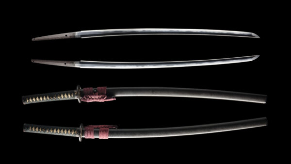Antique Japanese Sword Katana Signed by the 2nd-gen Izumi no Kami Fujiwara Kunisada<br>NBTHK<span style="color: #ff0000;"><strong> Tokubetsu Hozon</strong> </span>Certificate - Image 13