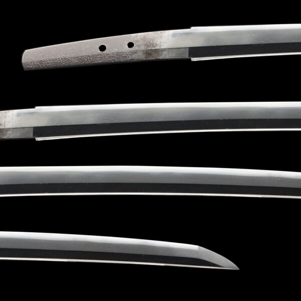 Antique Japanese Sword Wakizashi Signed by Mutsu no Kami Tadayoshi <br>NBTHK <span style="color: #ff0000;"><strong>Tokubetsu Hozon</strong> </span>Certificate - Image 2