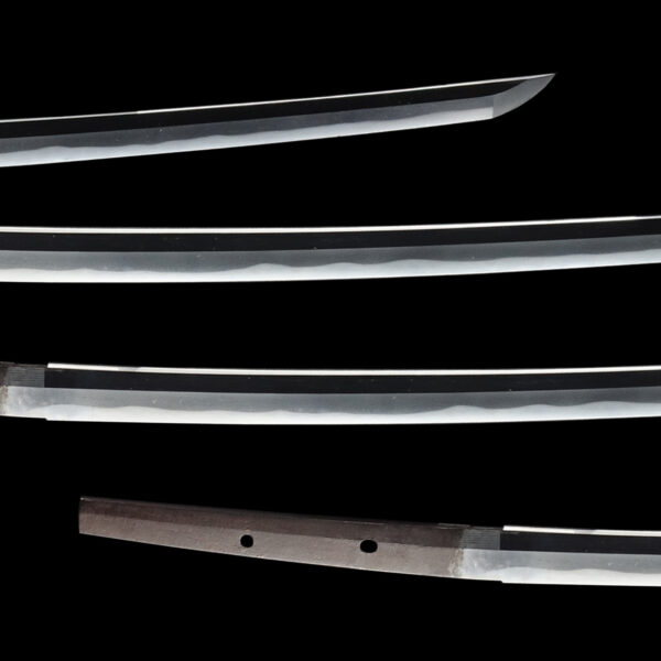 Antique Japanese Sword Katana attributed to Sawahara Shigetane<br>NBTHK <span style="color: #ff0000;">Hozon </span>Certificate - Image 3