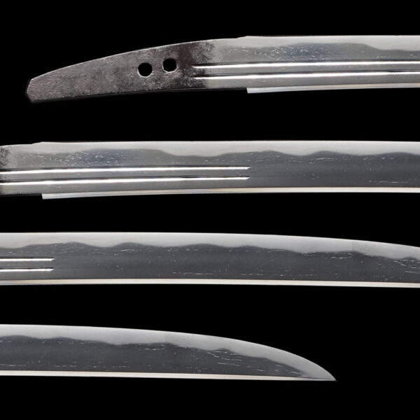Antique Japanese Sword Tanto Attributed to Den Takagi Sadamune<br>NBTHK <span style="color: #ff0000;"><strong> Tokubetsu Hozon</strong> </span>Certificate - Image 2