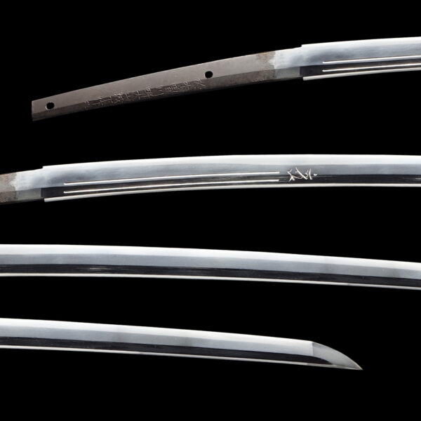 Modern Authentic Japanese Sword Katana Signed by Kanehisa<br>NBTHK <span style="color: #ff0000;">Hozon </span>Certificate - Image 2
