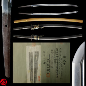Antique Japanese Sword Katana Signed by Inoue Shinkai<br> NBTHK Tokubetsu Kicho Certificate