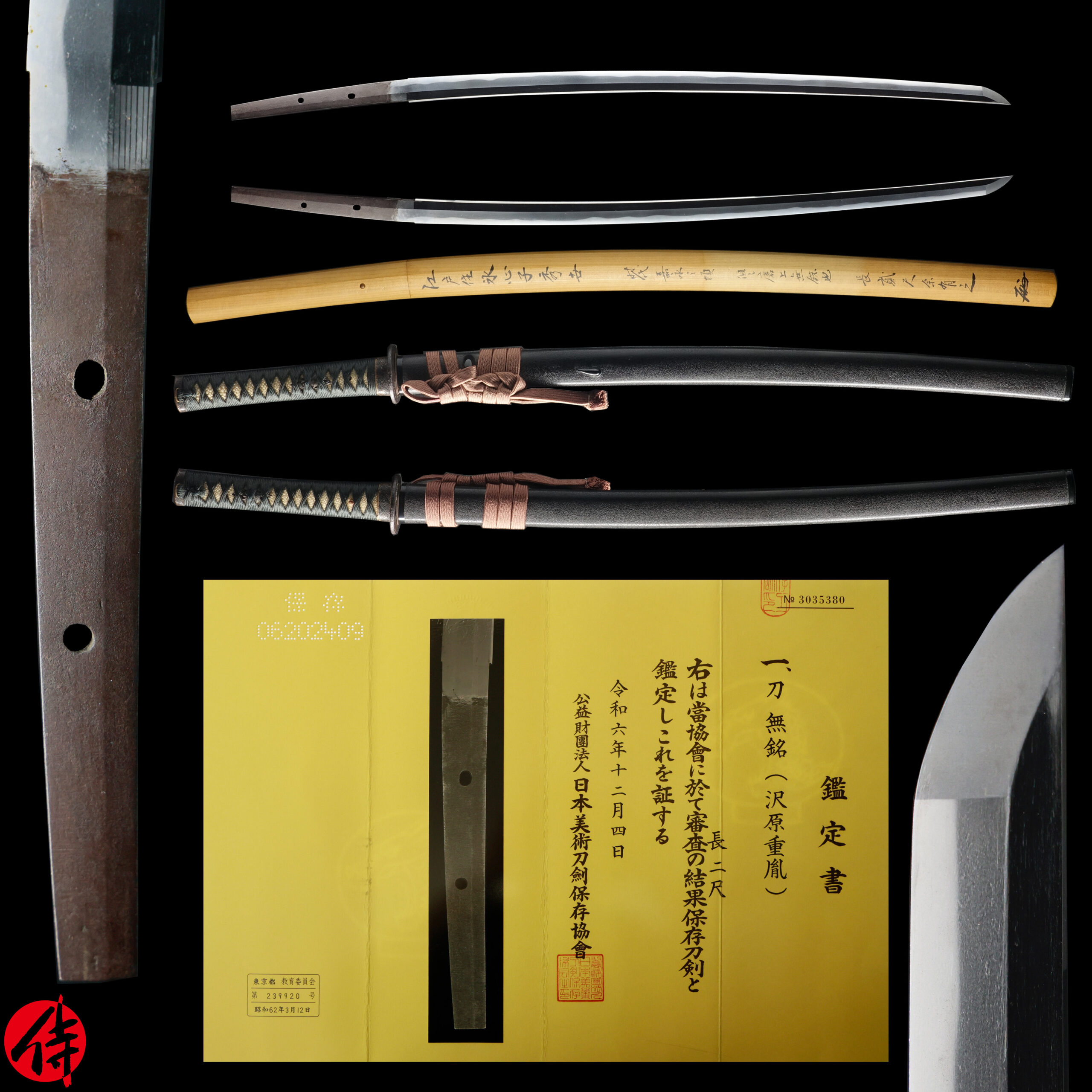 さめ ヒレ 鮫のヒレ 標本 オブジェ 飾り 20年前に購入