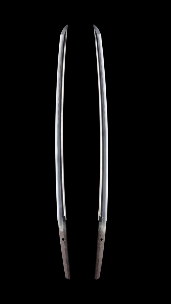 Antique Japanese Sword Wakizashi Signed by Fujiwara Yoshitake<br>NBTHK <span style="color: #ff0000;"><strong>Tokubetsu Hozon</strong> </span>Certificate - Image 7