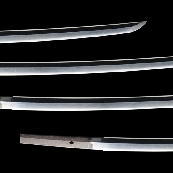 Antique Japanese Sword Wakizashi Attributed to Den Aoe<br>NBTHK <span style="color: #ff0000;"><strong> Tokubetsu Hozon</strong> </span>Certificate - Image 3
