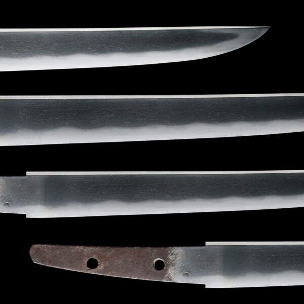 Antique Japanese Sword Tanto signed by Yamato Daijo Kaneshige<br>NBTHK <span style="color: #ff0000;">Hozon </span>Certificate - Image 3