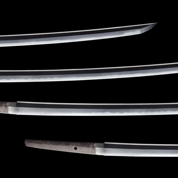Antique Japanese Sword Katana Signed by Dotanuki<br>NBTHK<span style="color: #ff0000;"><strong> Tokubetsu Hozon</strong> </span>Certificate - Image 3