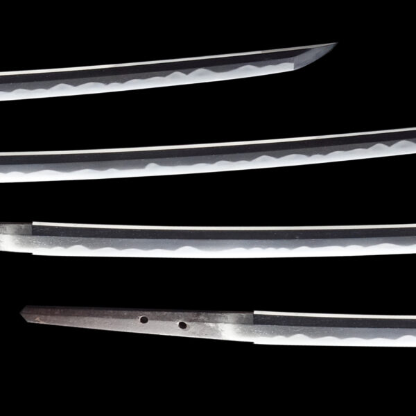 Antique Japanese Sword Katana Signed by Kanetsune<br>NBTHK<span style="color: #ff0000;"><strong> Tokubetsu Hozon</strong> </span>Certificate - Image 3