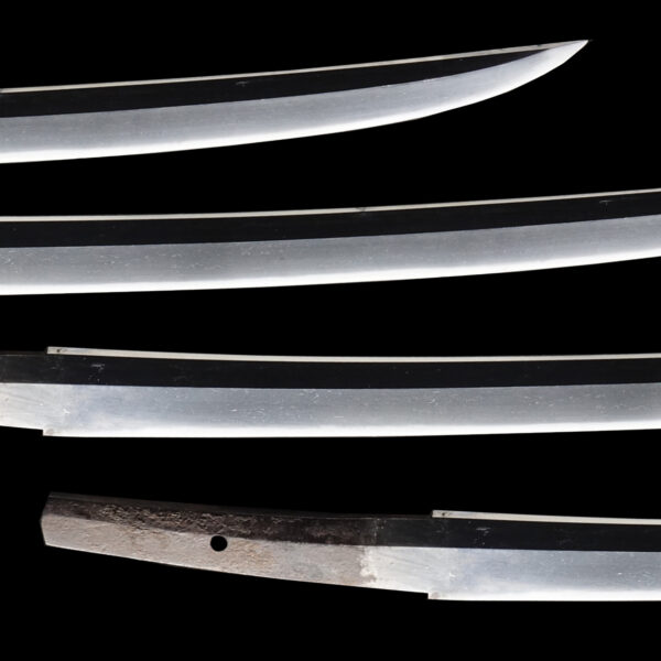 Antique Japanese Sword Wakizashi Signed by Ryokai <br>NBTHK <span style="color: #ff0000;"><strong>Tokubetsu Hozon</strong> </span>Certificate - Image 3