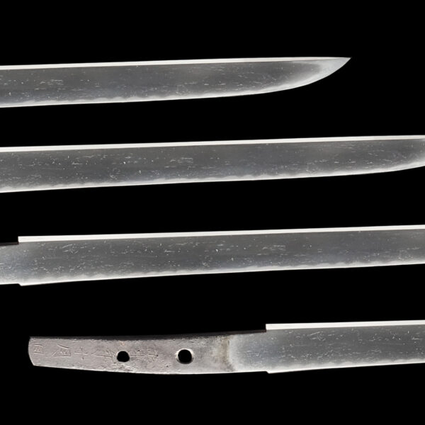 Antique Japanese Sword Tanto Signed by Shigezane<br> NBTHK <span style="color: #ff0000;">Hozon </span> Certificate - Image 3
