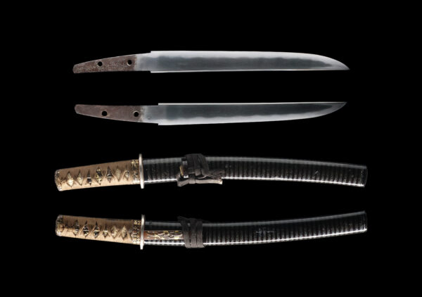 Antique Japanese Sword Tanto signed by Yamato Daijo Kaneshige<br>NBTHK <span style="color: #ff0000;">Hozon </span>Certificate - Image 13