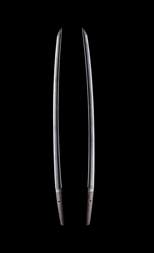 Antique Japanese Sword Katana Signed by Dotanuki<br>NBTHK<span style="color: #ff0000;"><strong> Tokubetsu Hozon</strong> </span>Certificate - Image 7
