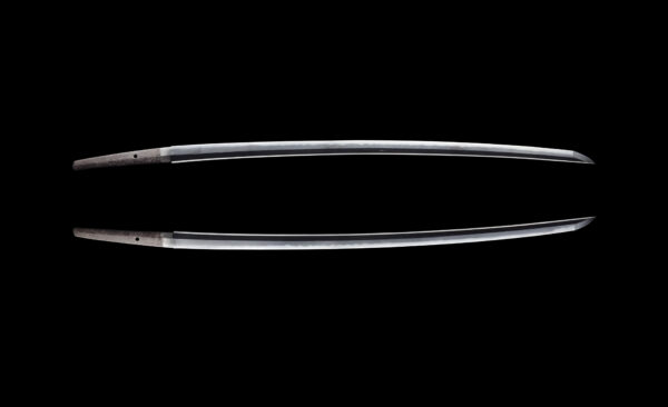 Antique Japanese Sword Katana Signed by Dotanuki<br>NBTHK<span style="color: #ff0000;"><strong> Tokubetsu Hozon</strong> </span>Certificate - Image 11