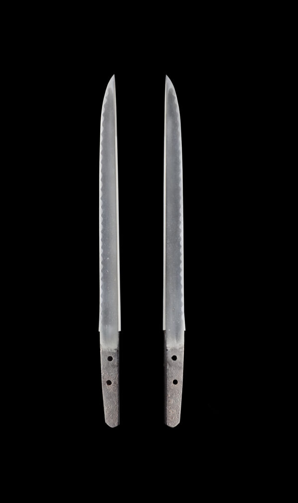 Antique Japanese Sword Tanto Signed by Kanesada<br>NBTHK <span style="color: #ff0000;"><strong> Tokubetsu Hozon</strong> </span>Certificate - Image 7
