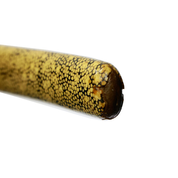 Antique Japanese Sword Wakizashi Signed by Tachibana Yasuhiro<br> NBTHK Tokubetsu Kicho Certificate - Image 23