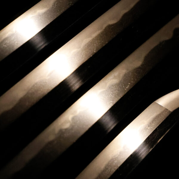 Antique Japanese Sword Katana Signed by Dotanuki<br>NBTHK<span style="color: #ff0000;"><strong> Tokubetsu Hozon</strong> </span>Certificate - Image 4