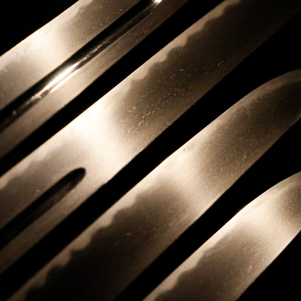 Antique Japanese Sword Tanto Signed by Shigezane<br> NBTHK <span style="color: #ff0000;">Hozon </span> Certificate - Image 5