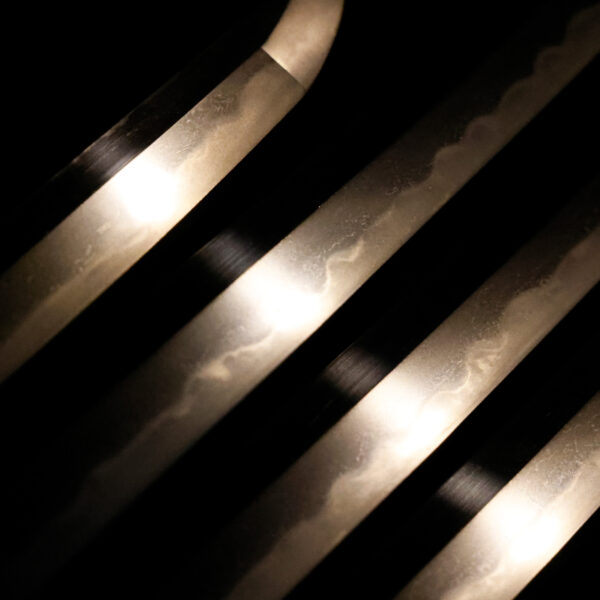 Antique Japanese Sword Katana Signed by Dotanuki<br>NBTHK<span style="color: #ff0000;"><strong> Tokubetsu Hozon</strong> </span>Certificate - Image 5