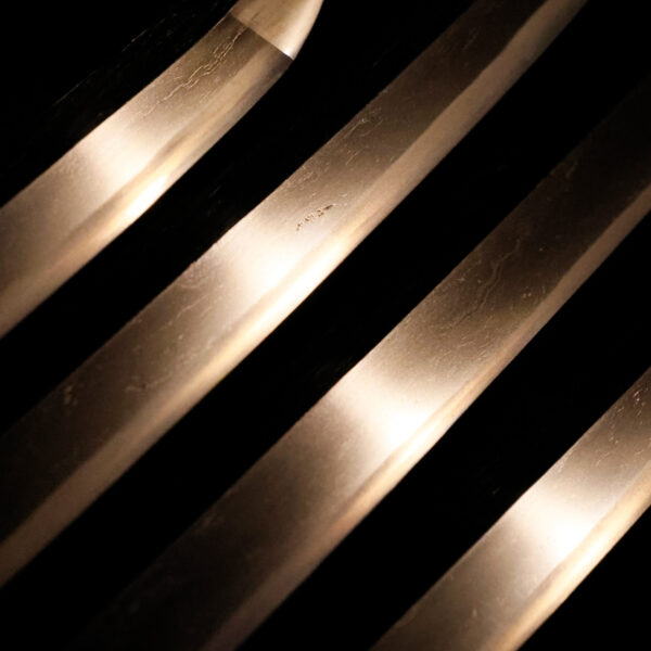 Antique Japanese Sword Katana Attributed to Ko Naminohira <br>NBTHK<span style="color: #ff0000;"><strong> Tokubetsu Hozon</strong> </span>Certificate - Image 5