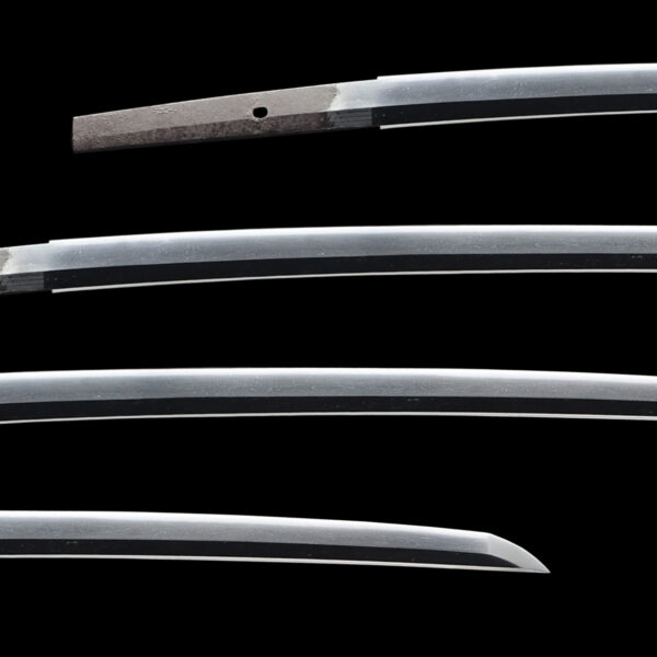 Antique Japanese Sword Wakizashi Attributed to Den Aoe<br>NBTHK <span style="color: #ff0000;"><strong> Tokubetsu Hozon</strong> </span>Certificate - Image 2