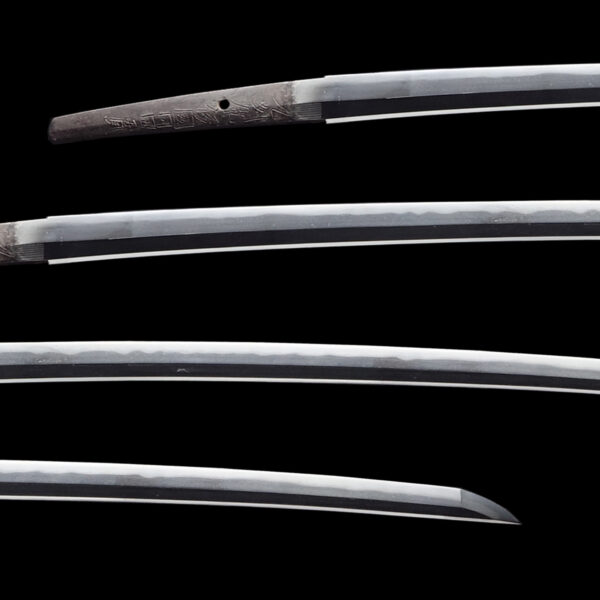 Antique Japanese Sword Katana Signed by Dotanuki<br>NBTHK<span style="color: #ff0000;"><strong> Tokubetsu Hozon</strong> </span>Certificate - Image 2
