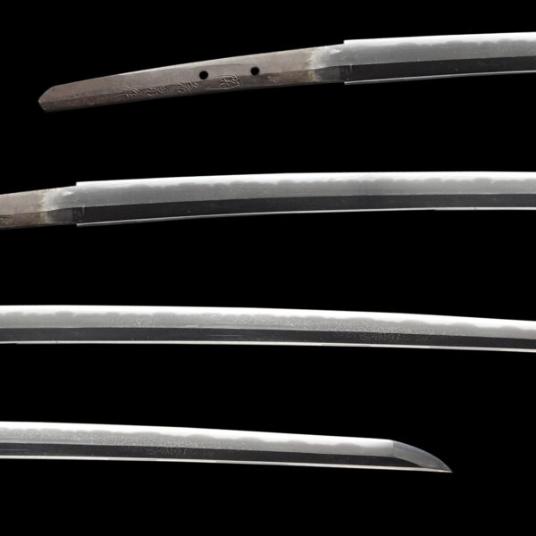Modern Authentic Japanese Sword Katana Signed by Seki Kanemune - Image 2