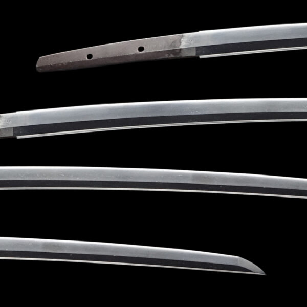 Antique Japanese Sword Katana Attributed to Enju<br>NBTHK <span style="color: #ff0000;">Hozon </span>Certificate for the blade and Tokubetsu Kicho for the Koshirae - Image 2