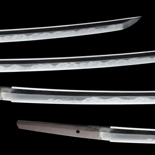 Antique Japanese Sword Katana Signed by Sadahiro<br>NBTHK<span style="color: #ff0000;"><strong> Tokubetsu Hozon</strong> </span>Certificate for the blade& koshirae - Image 3