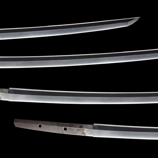 Antique Japanese Sword Katana Attributed to Enju<br>NBTHK <span style="color: #ff0000;">Hozon </span>Certificate for the blade and Tokubetsu Kicho for the Koshirae - Image 3