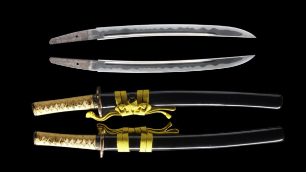 Antique Japanese Sword Wakizashi Signed by Morihide <br>NBTHK <span style="color: #ff0000;">Hozon </span>Certificate - Image 13