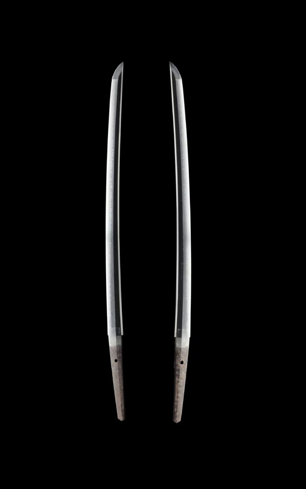 Antique Japanese Sword Wakizashi Signed by Tachibana Yasuhiro<br> NBTHK Tokubetsu Kicho Certificate - Image 7