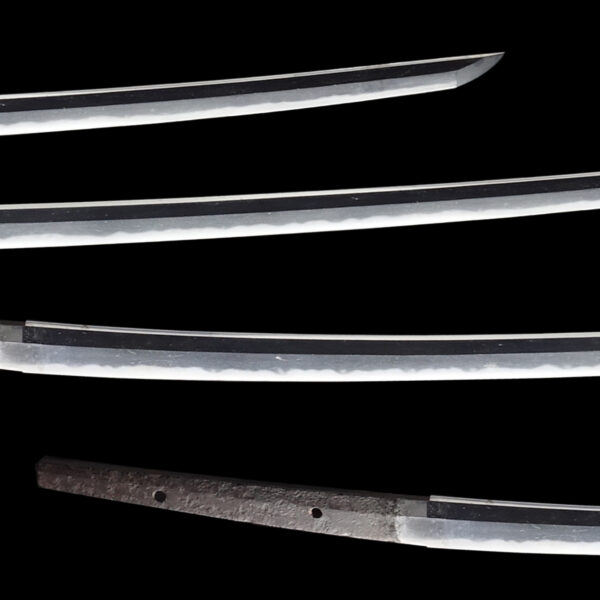 Antique Japanese Sword Katana Attributed to Takada<br>NBTHK <span style="color: #ff0000;">Hozon </span>Certificate - Image 3