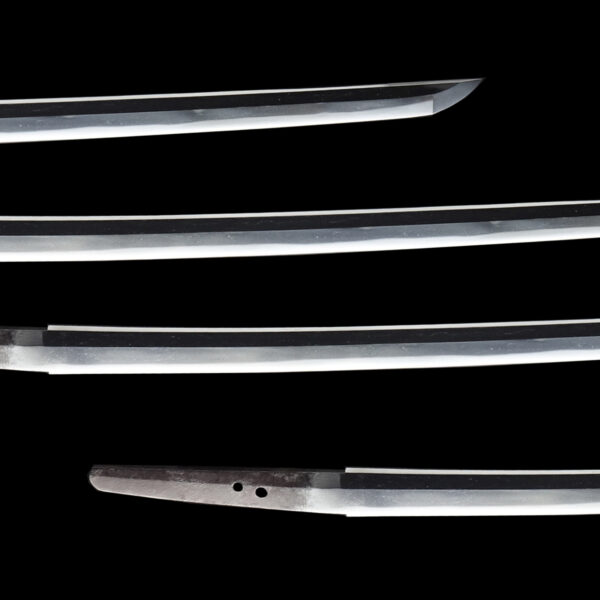 Antique Japanese Sword Wakizashi Signed by Sadashige<br>NBTHK <span style="color: #ff0000;">Hozon </span>Certificate - Image 3