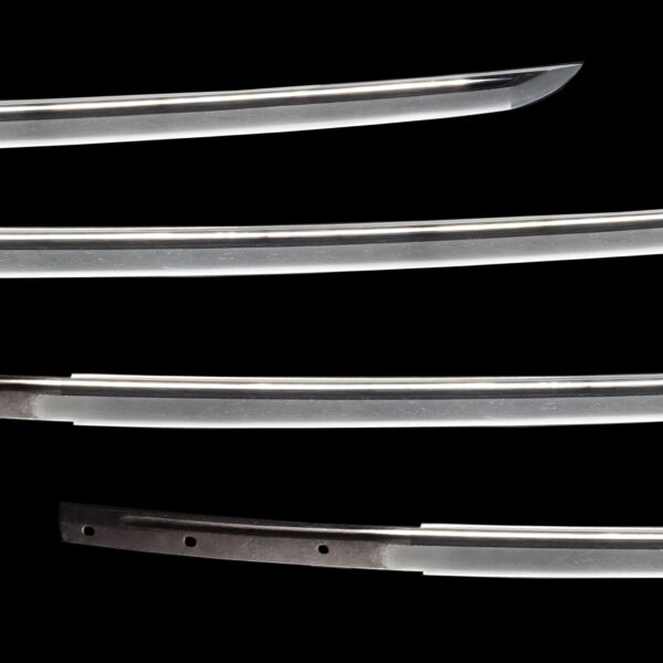 Antique Japanese Sword Katana Attributed to Kongo Hyoue<br> NBTHK<span style="color: #ff0000;"><strong> Tokubetsu Hozon</strong> </span>Certificate - Image 3