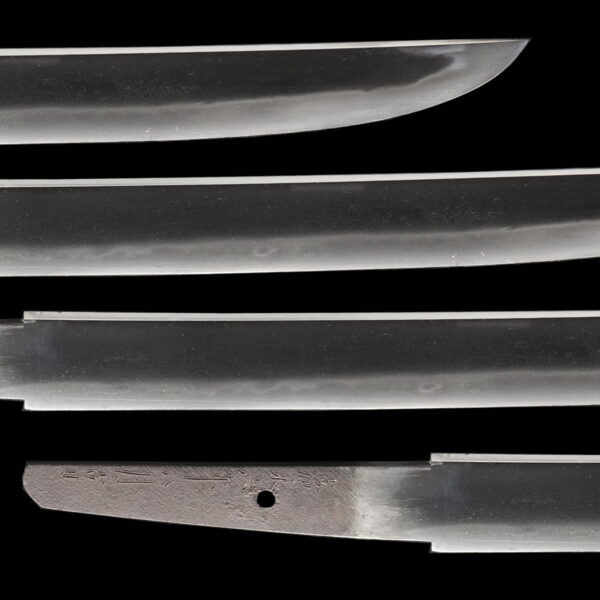 Antique Japanese Sword Wakizashi Signed by Naganobu<br>NBTHK <span style="color: #ff0000;"><strong>Tokubetsu Hozon</strong> </span>Certificate - Image 3